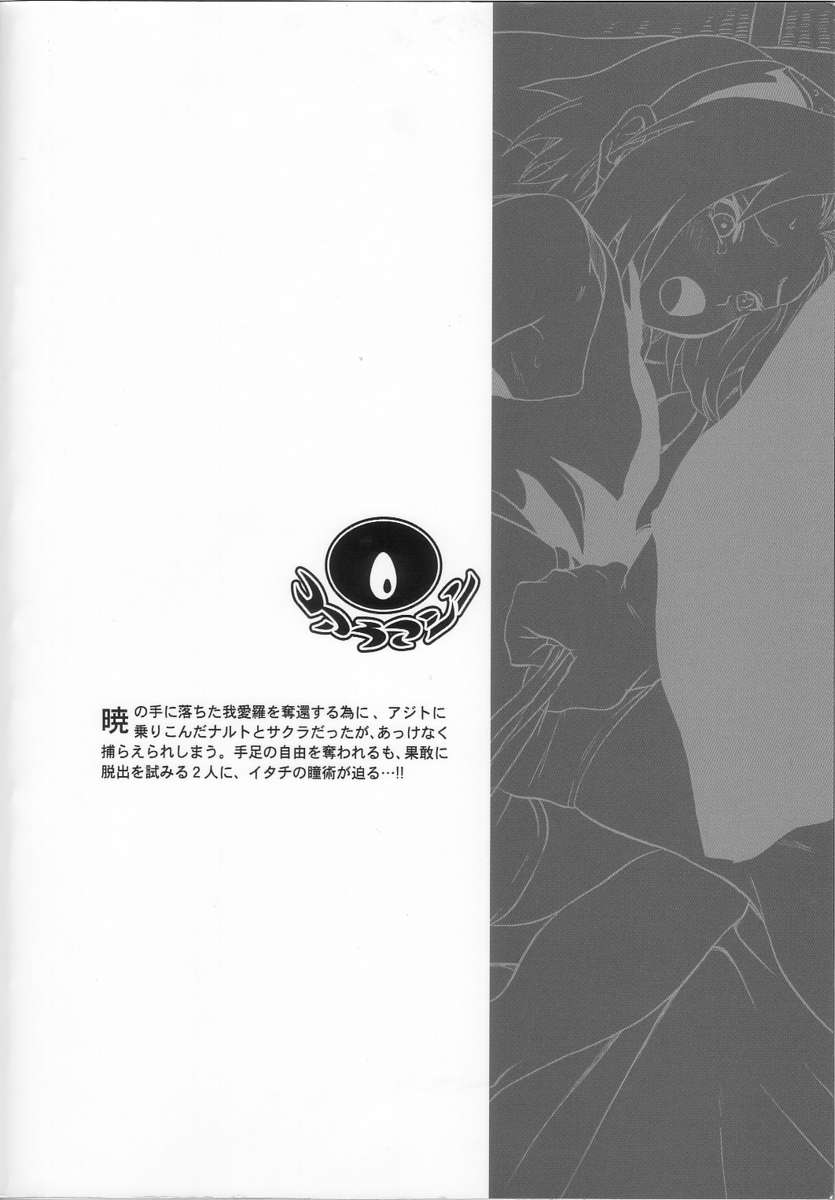 黒アゲハ