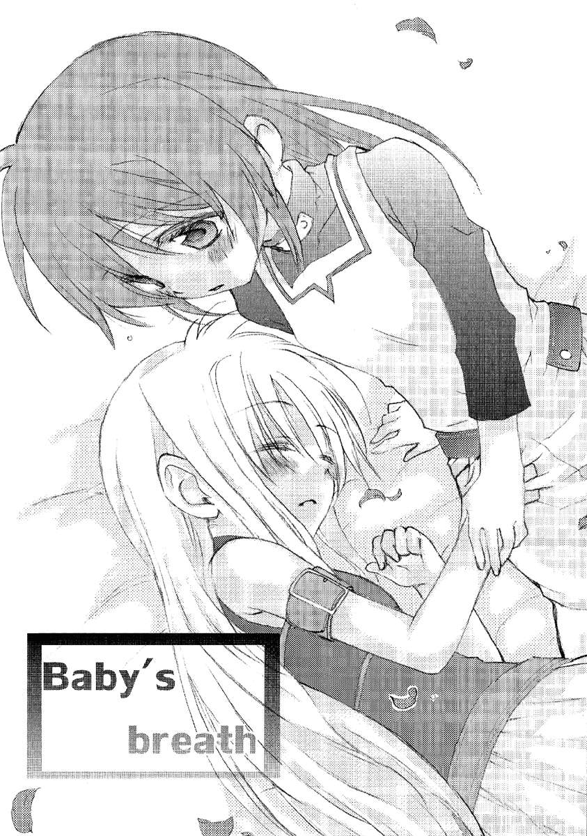 ファインカラーデー