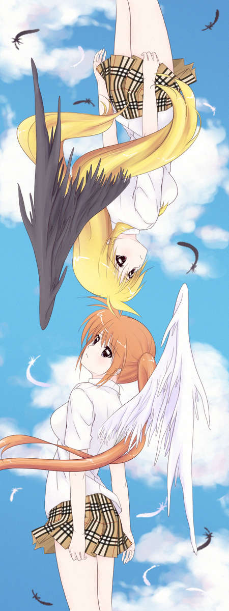 ファインカラーデー