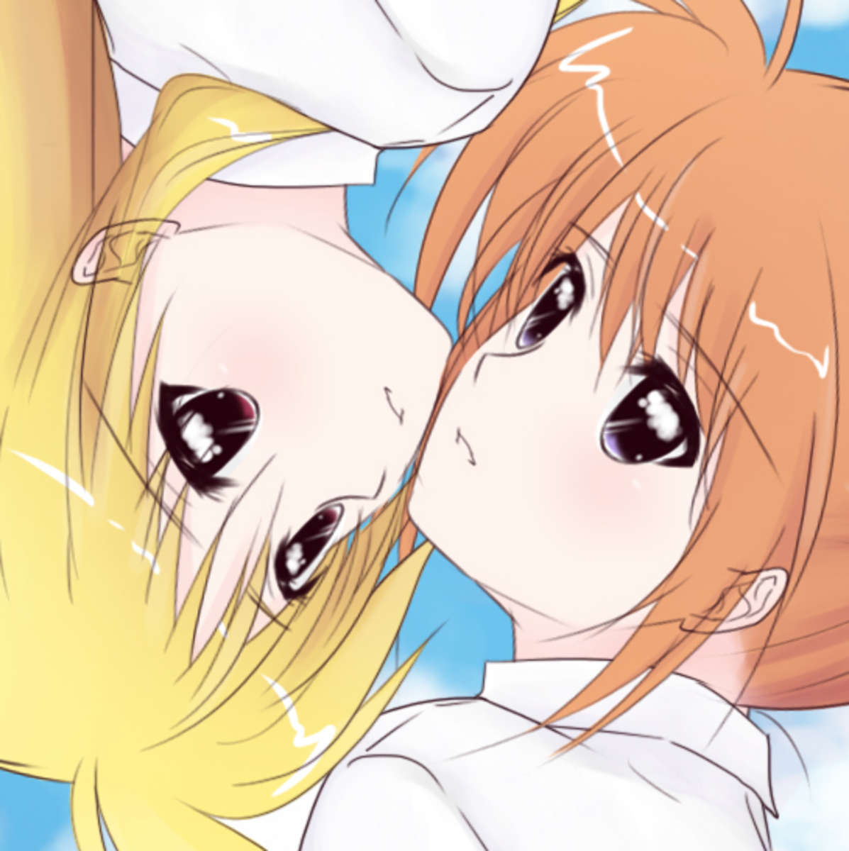 ファインカラーデー