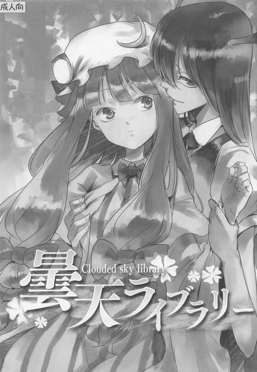 曇り空の図書館