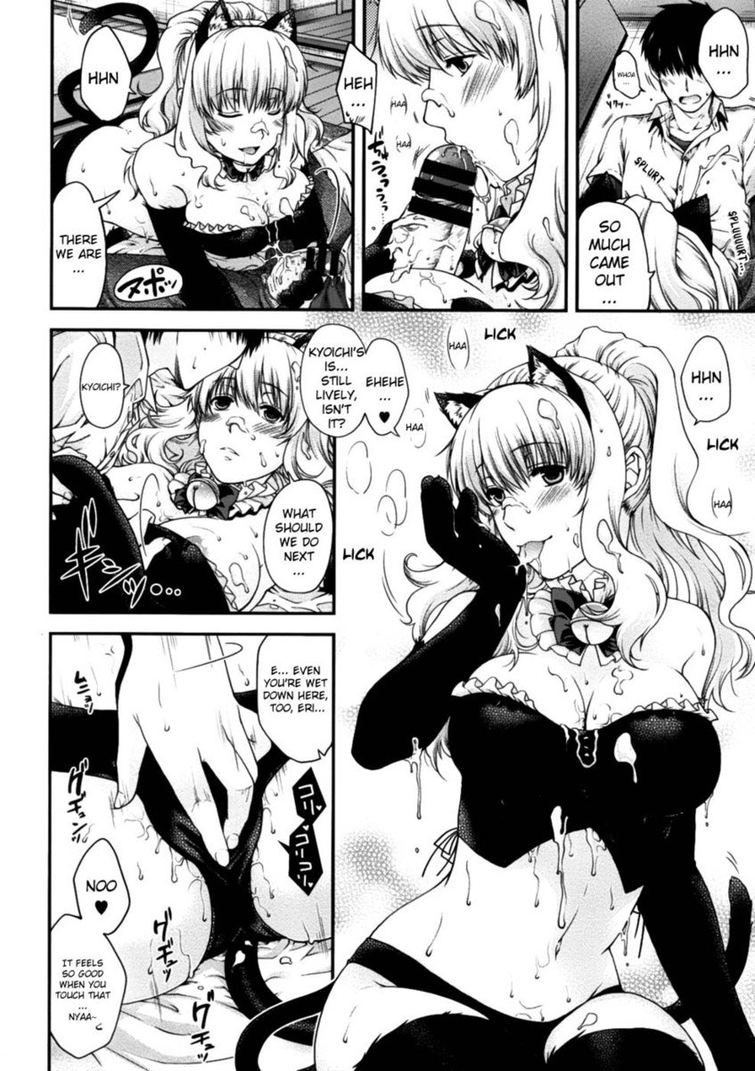 猫と私の方程式