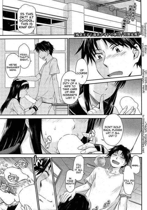 哀れな王子？意地悪なメイド第2章