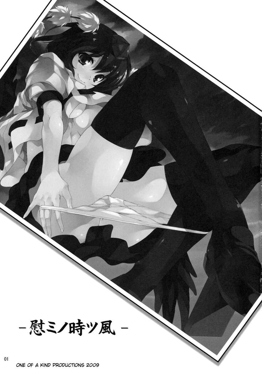 なぐさみの時風