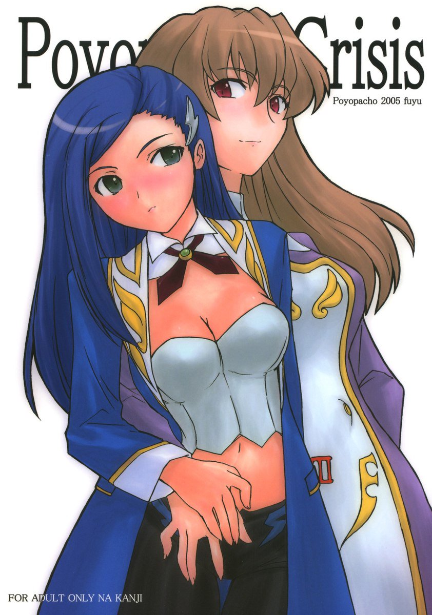 ポヨパチョ危機