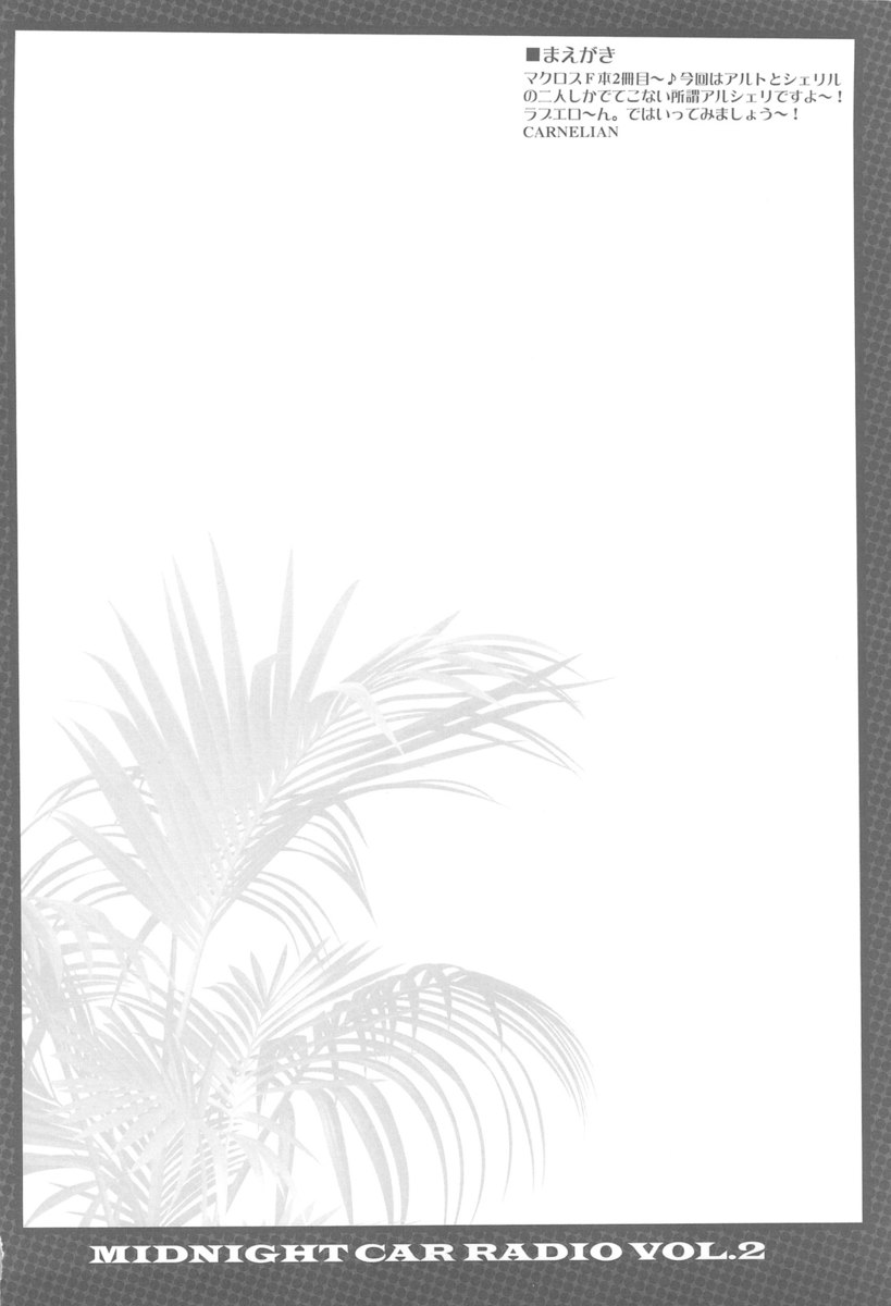 真夜中のカーラジオ2