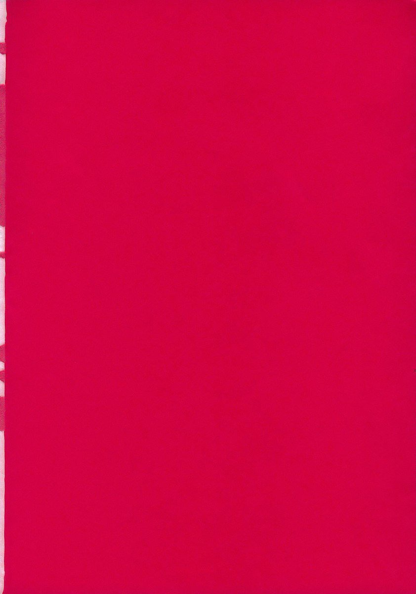 アテナとフレンズ2006