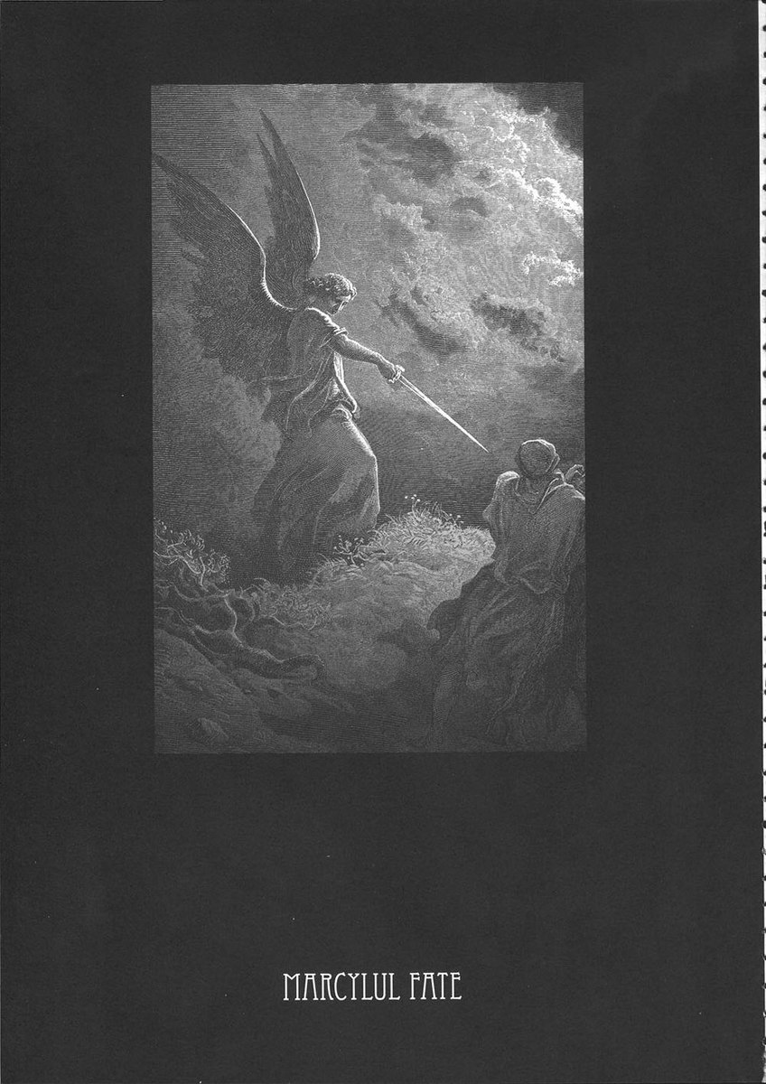 マーシフルフェイト