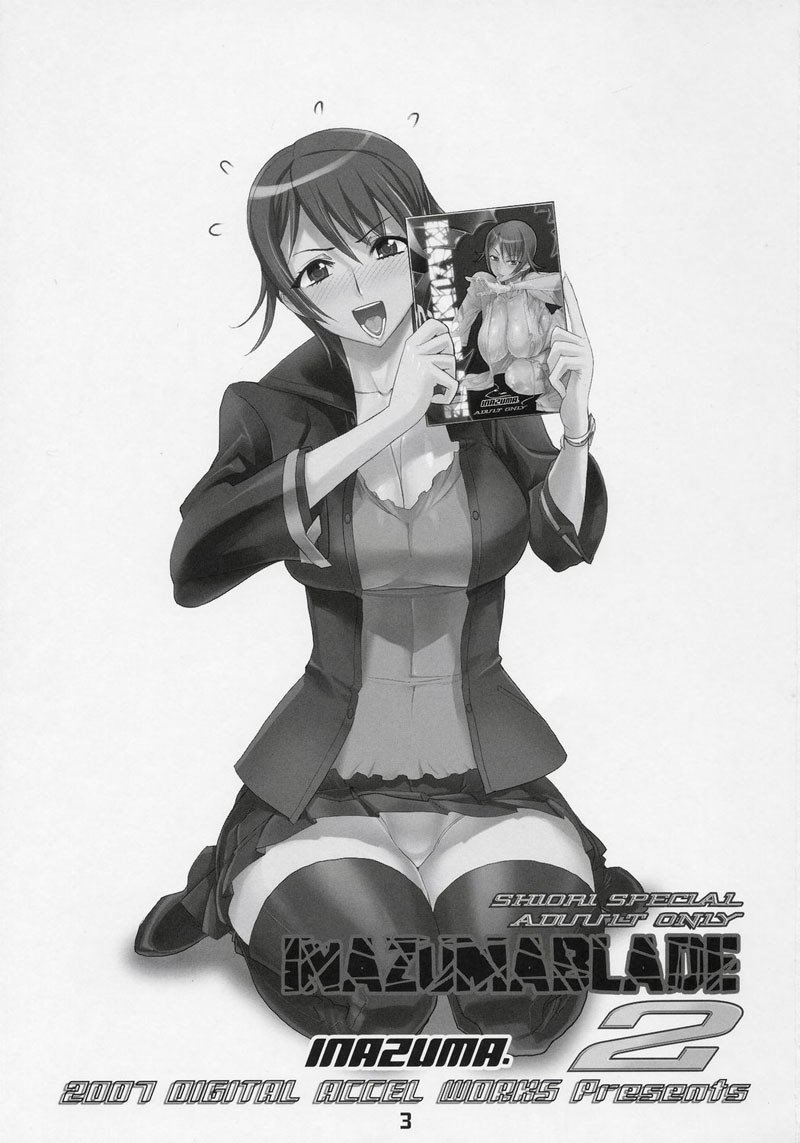 イナズマブレイド2