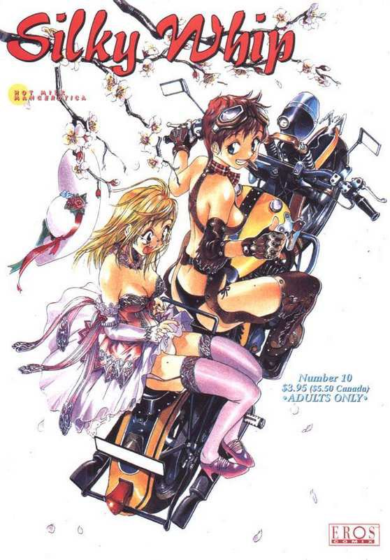 シルキーホイップ10