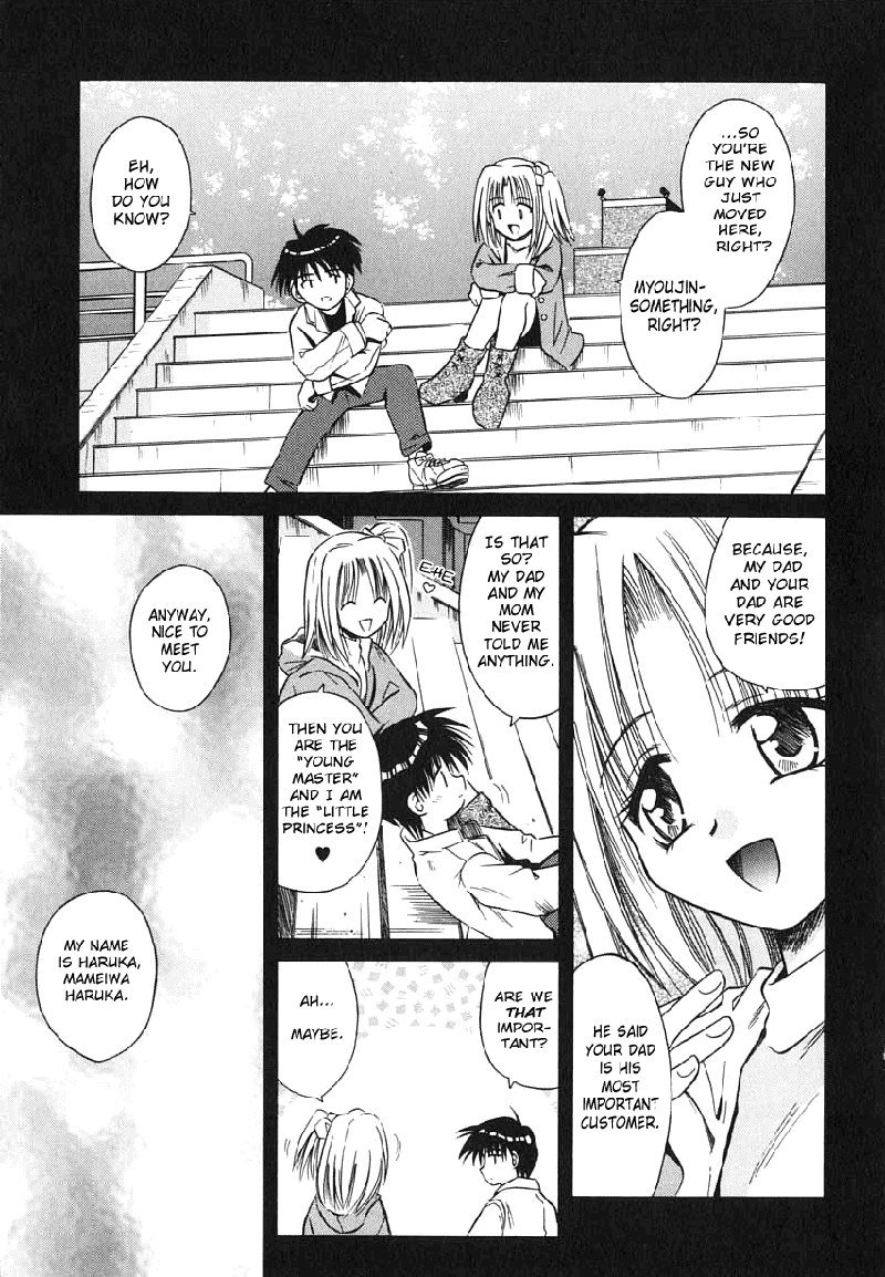 Palladium Garden07-エンゲージ