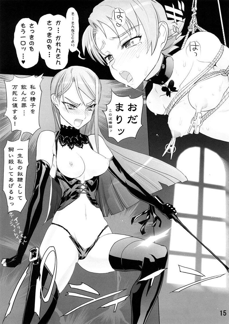 プリキュア5-カレン100式