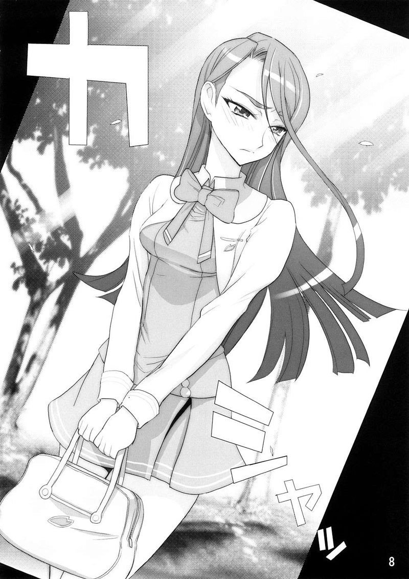 プリキュア5-カレン100式