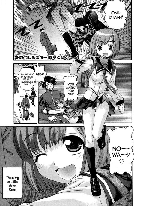 おねがいシスター1