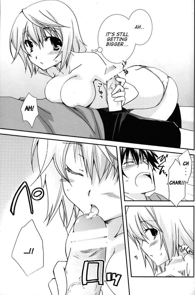 無限のストラトス-塔城小猫