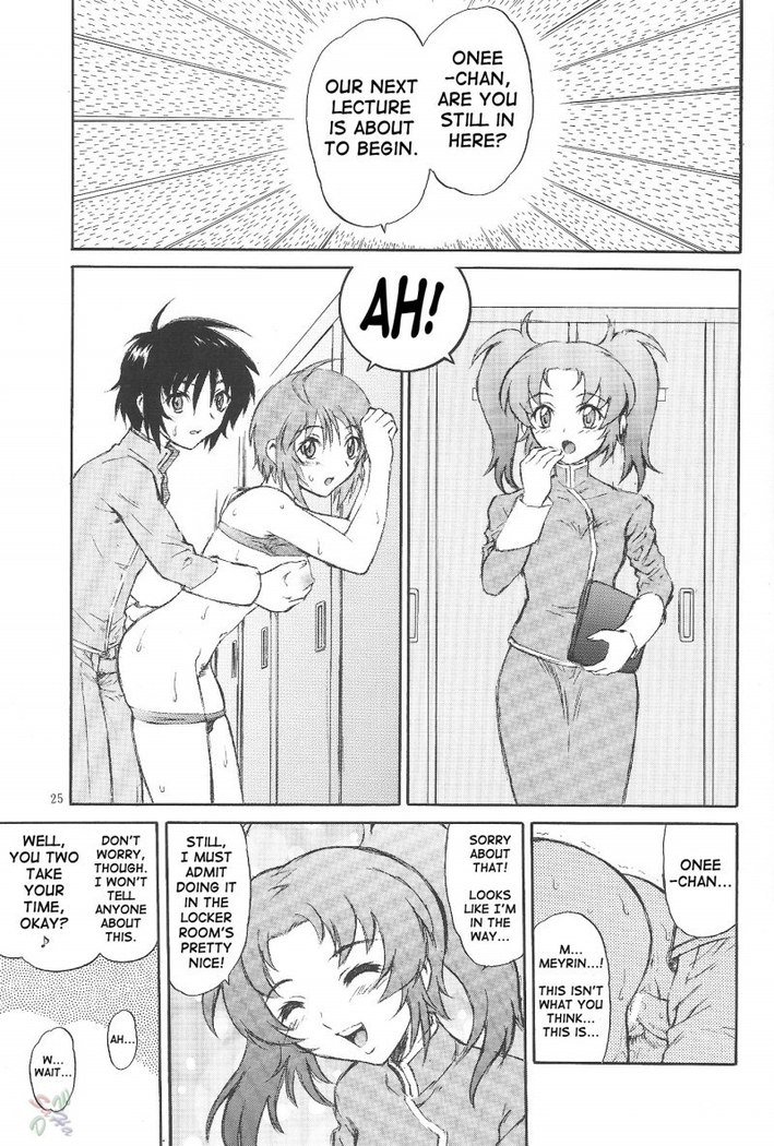 ガンダムシードデスティニー-バーニング