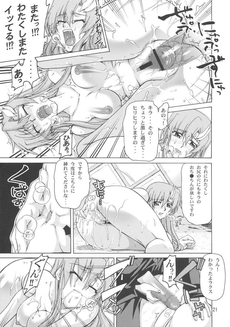 機動戦士ガンダムSEED-癒しの歌姫2