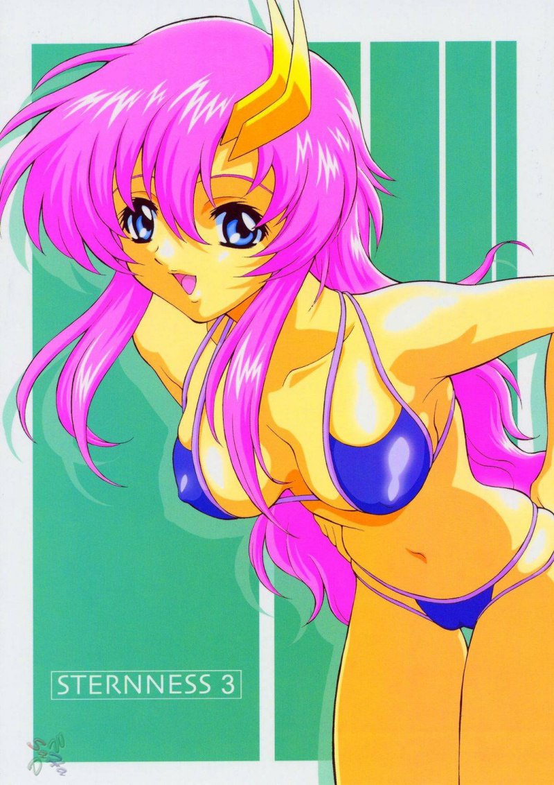 ガンダムシードデスティニースターネス3