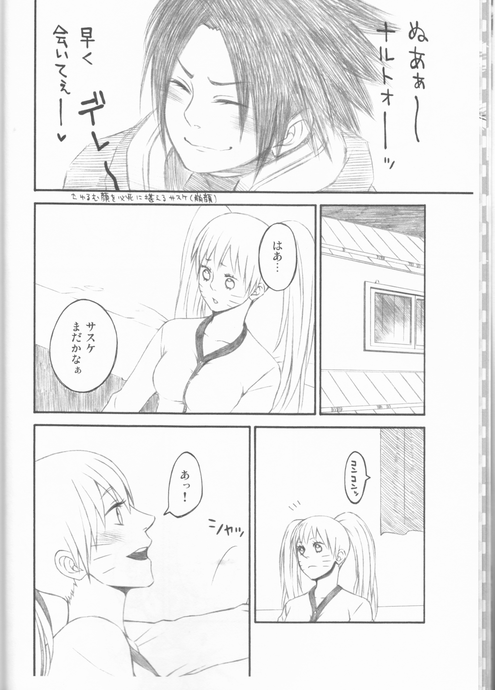 ドリームパスポート）不完全