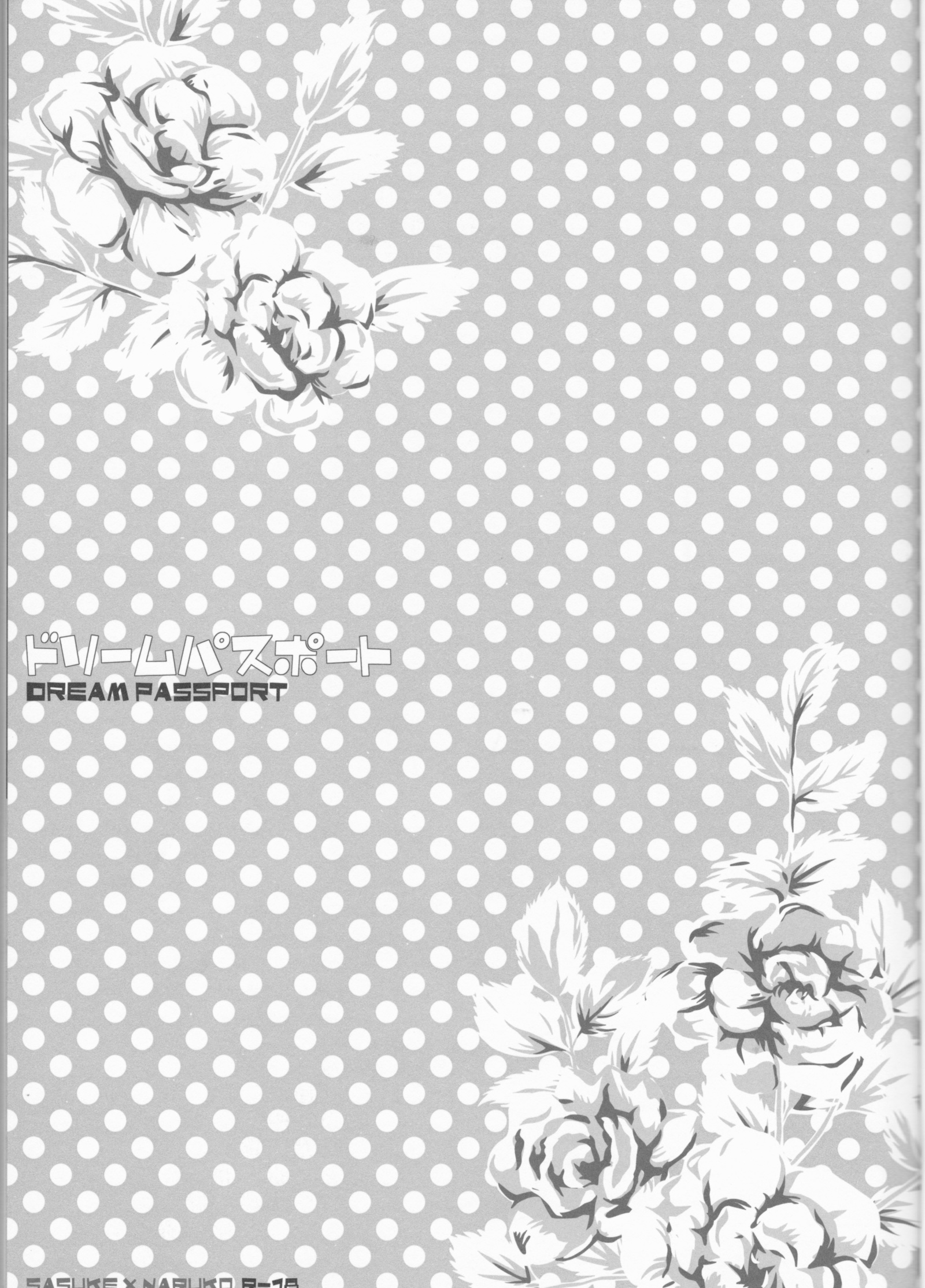 ドリームパスポート）不完全