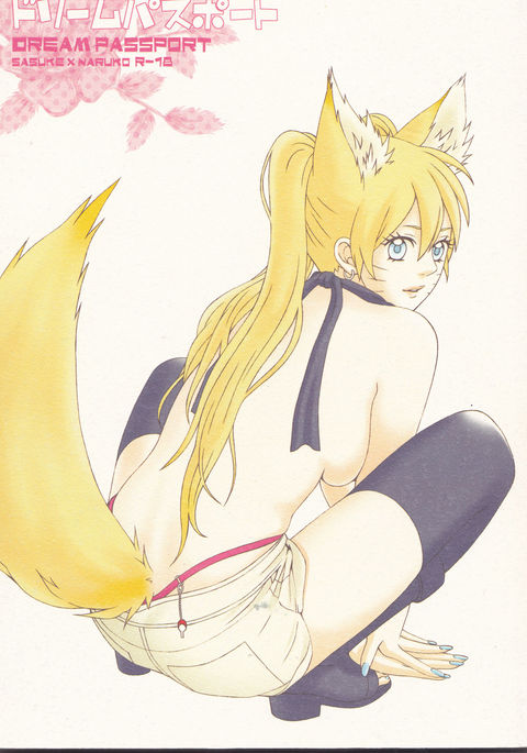 ドリームパスポート）不完全