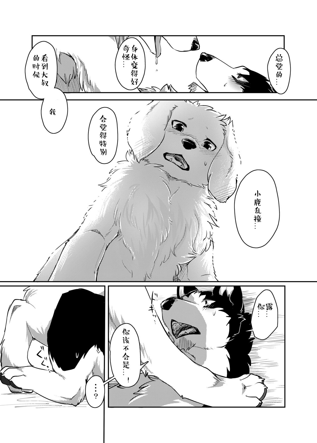 もっともっと。 |想要、更多。