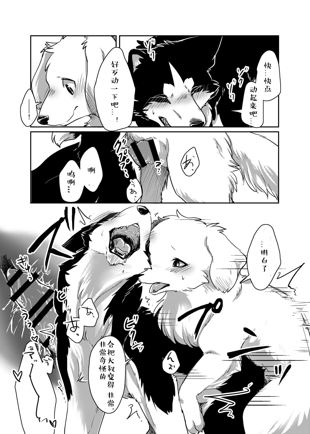 もっともっと。 |想要、更多。