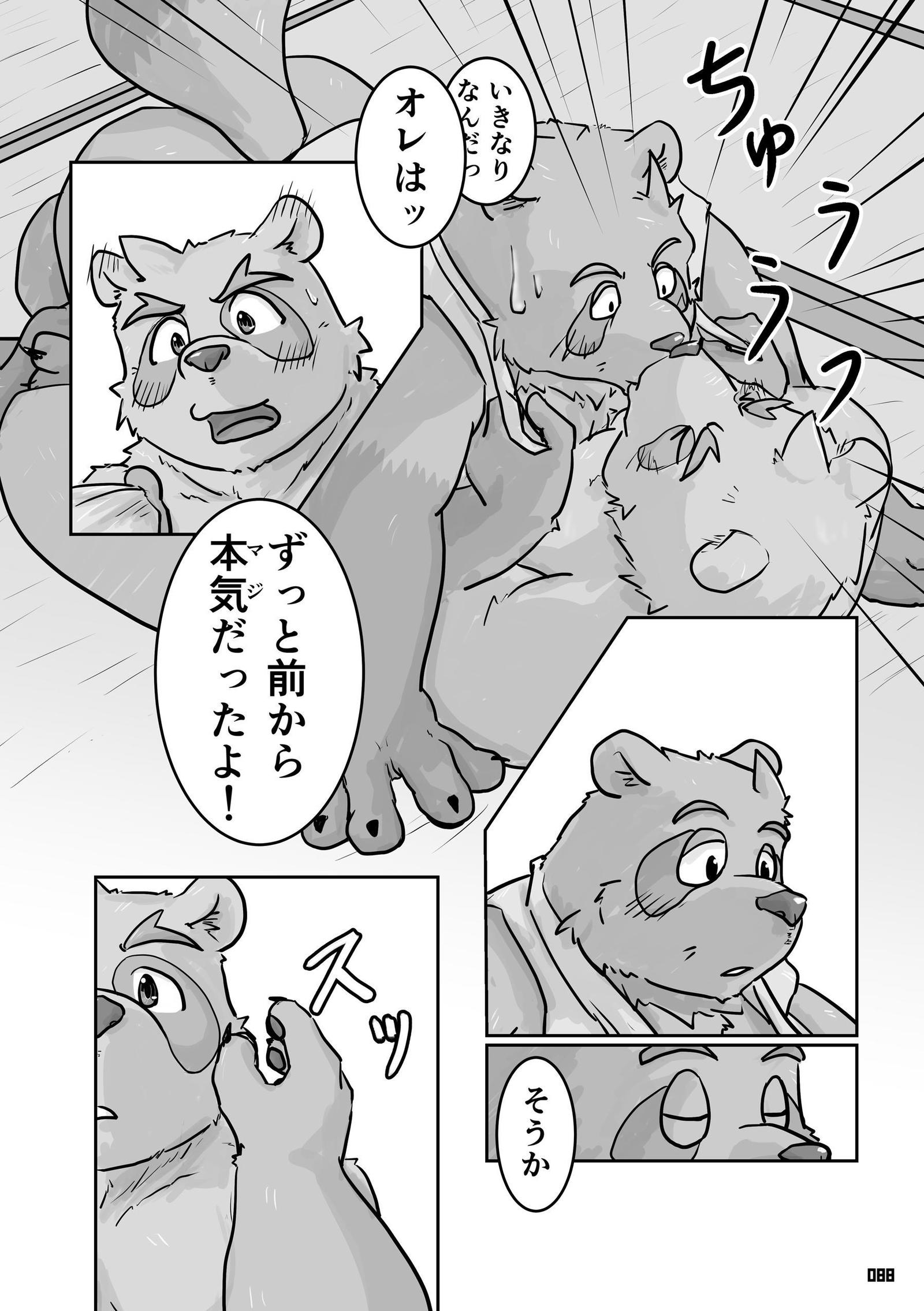 タヌキキツネ