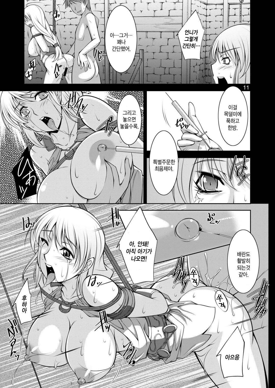 Xシスターズの繁殖