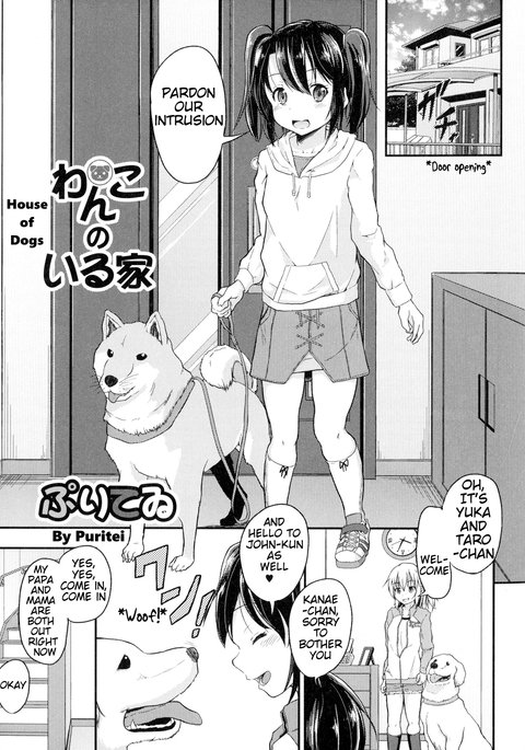 わんこのイルイエ|犬の家