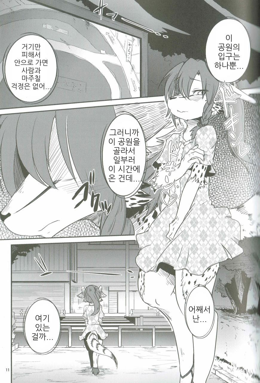 おさんぽびより