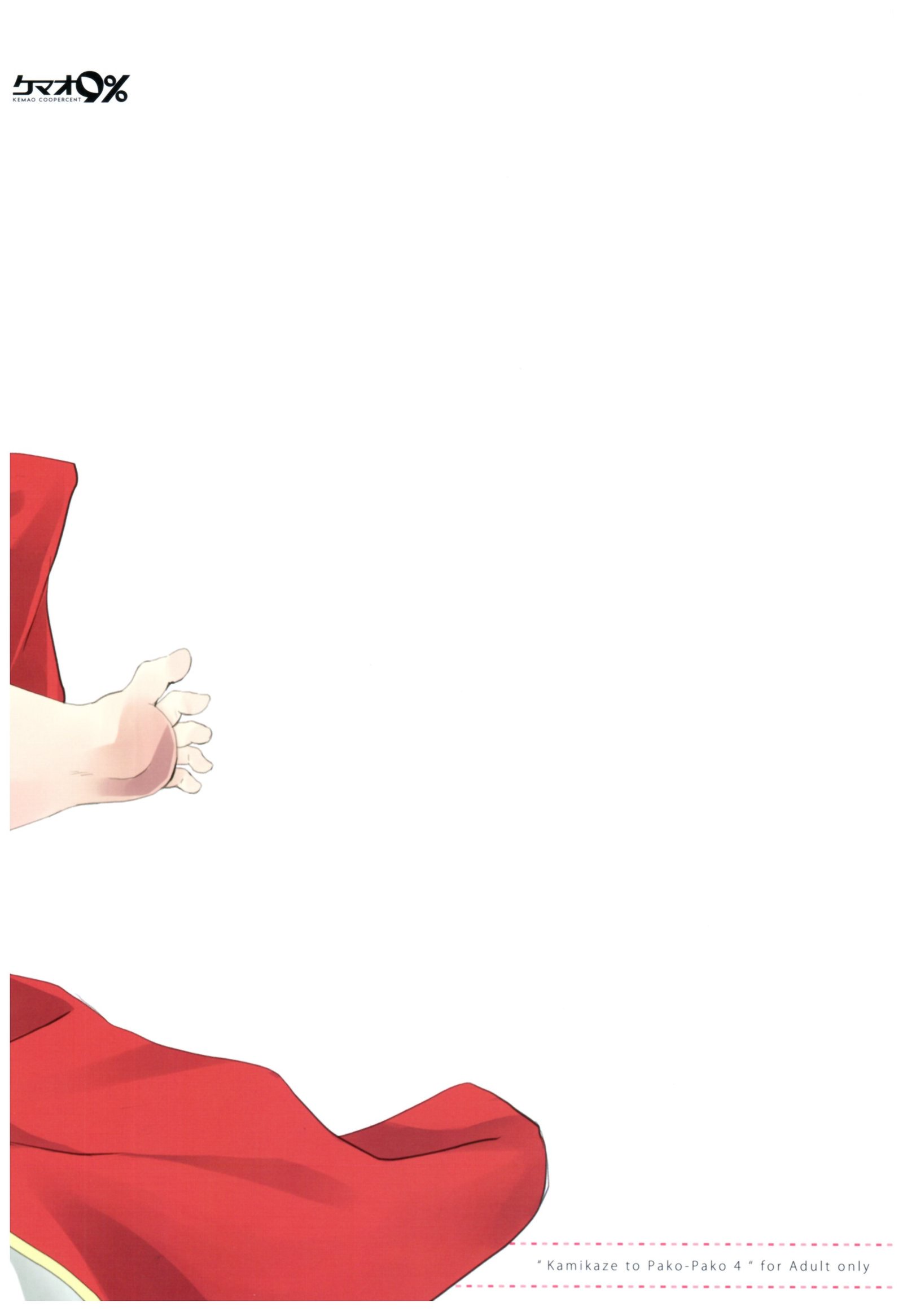 カミカゼからパッコパコ3