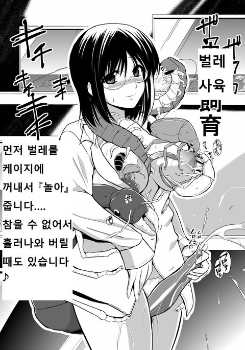 みいじょうむしのしく