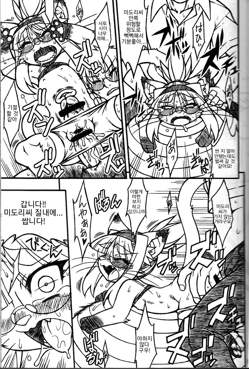 猫玉| 네코타마