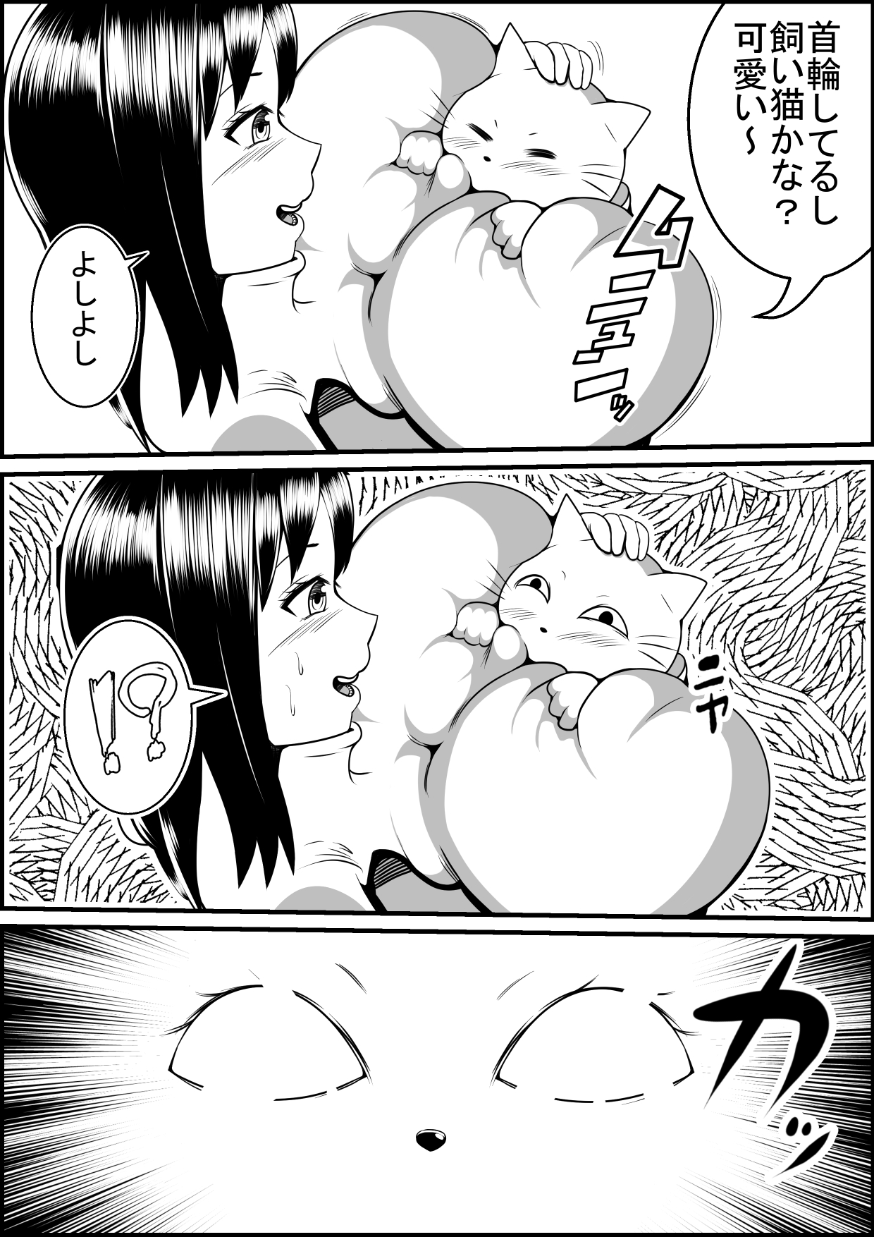 かいねこがあるひびじょうになったら