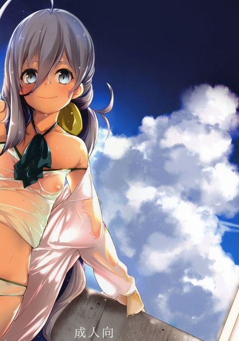 清もなつまさかり