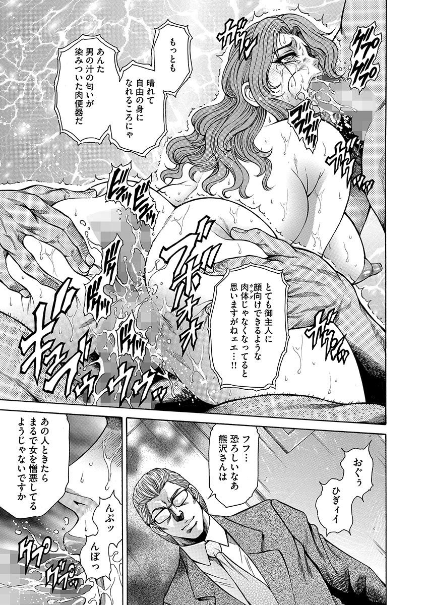 ぎてん池家ふじんなぶり〜ひこうりょうらん〜