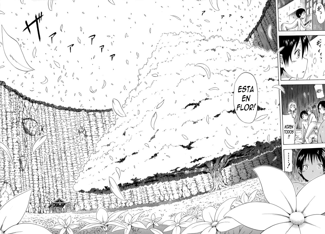 夏光×ハーレム