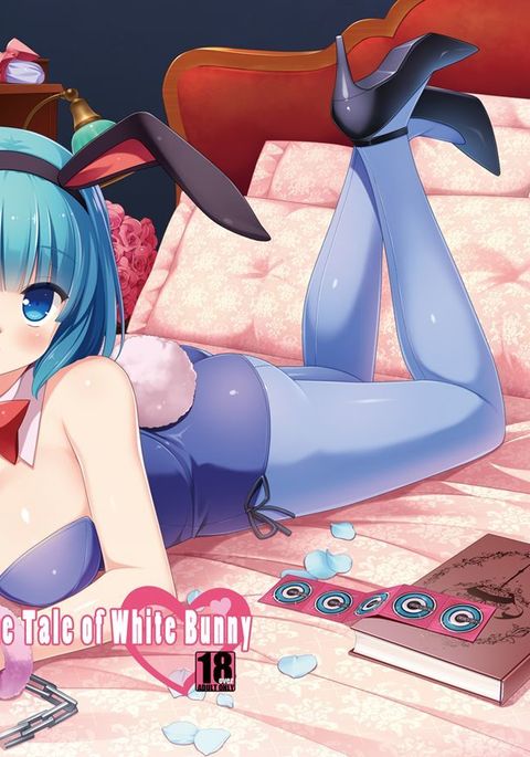 ホワイトバニーの物語