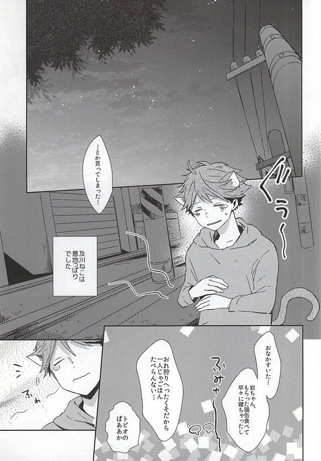 猫に夏及川さん