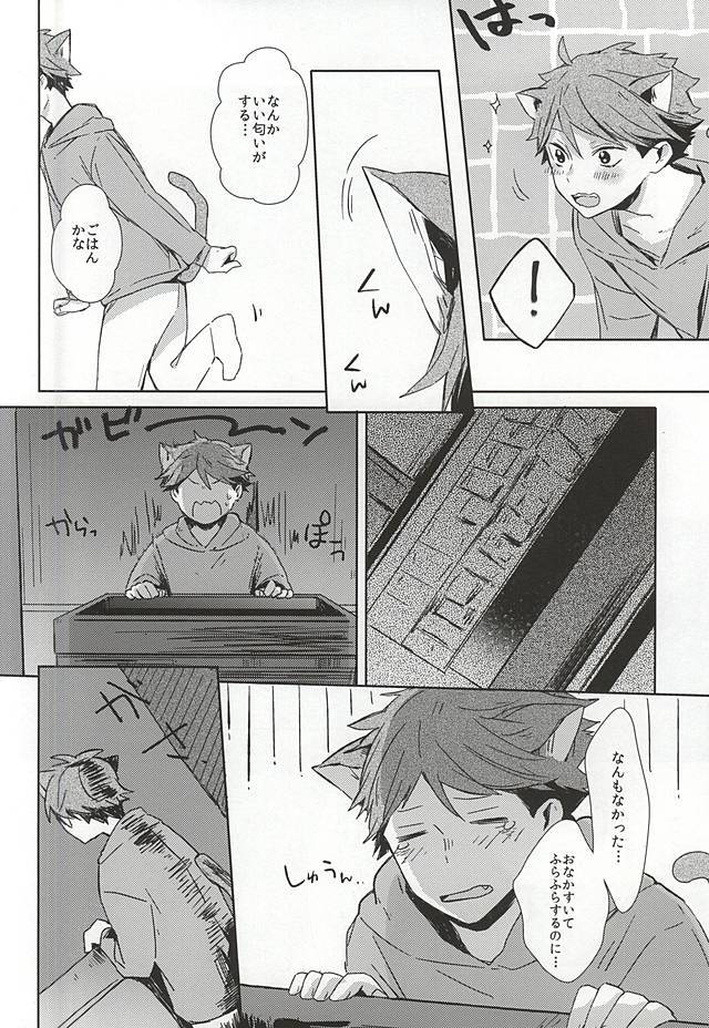 猫に夏及川さん