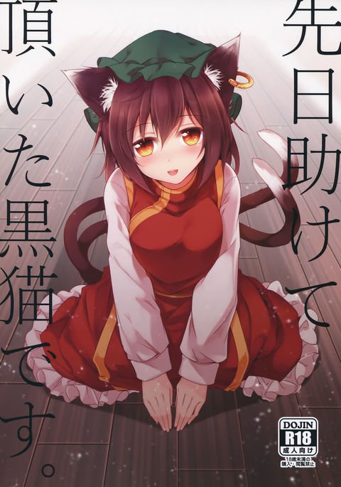 戦術たすけていただいたくろねこです。 |私は先日あなたが助けてくれた黒猫です。