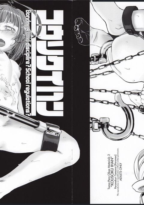 こうそくいはん