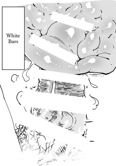 ウィニー修正マニュアル