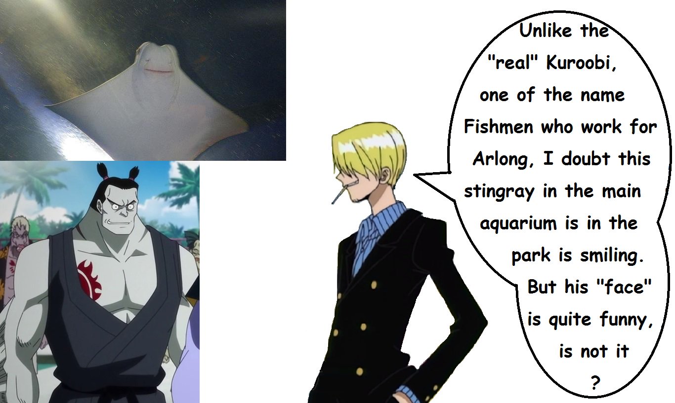 遠征ワンピース英語