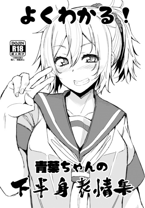 よくわかる！あおばちゃんのおかはんひょうじょうしゅう