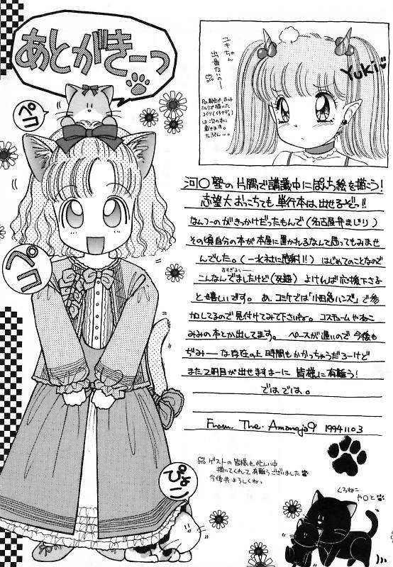 かなりのフェティシズム