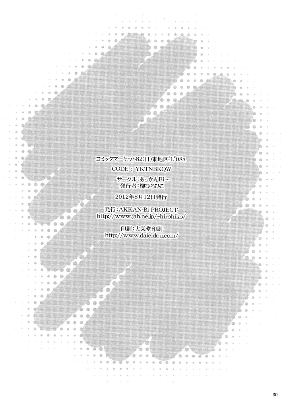 ナイトホークXXIX