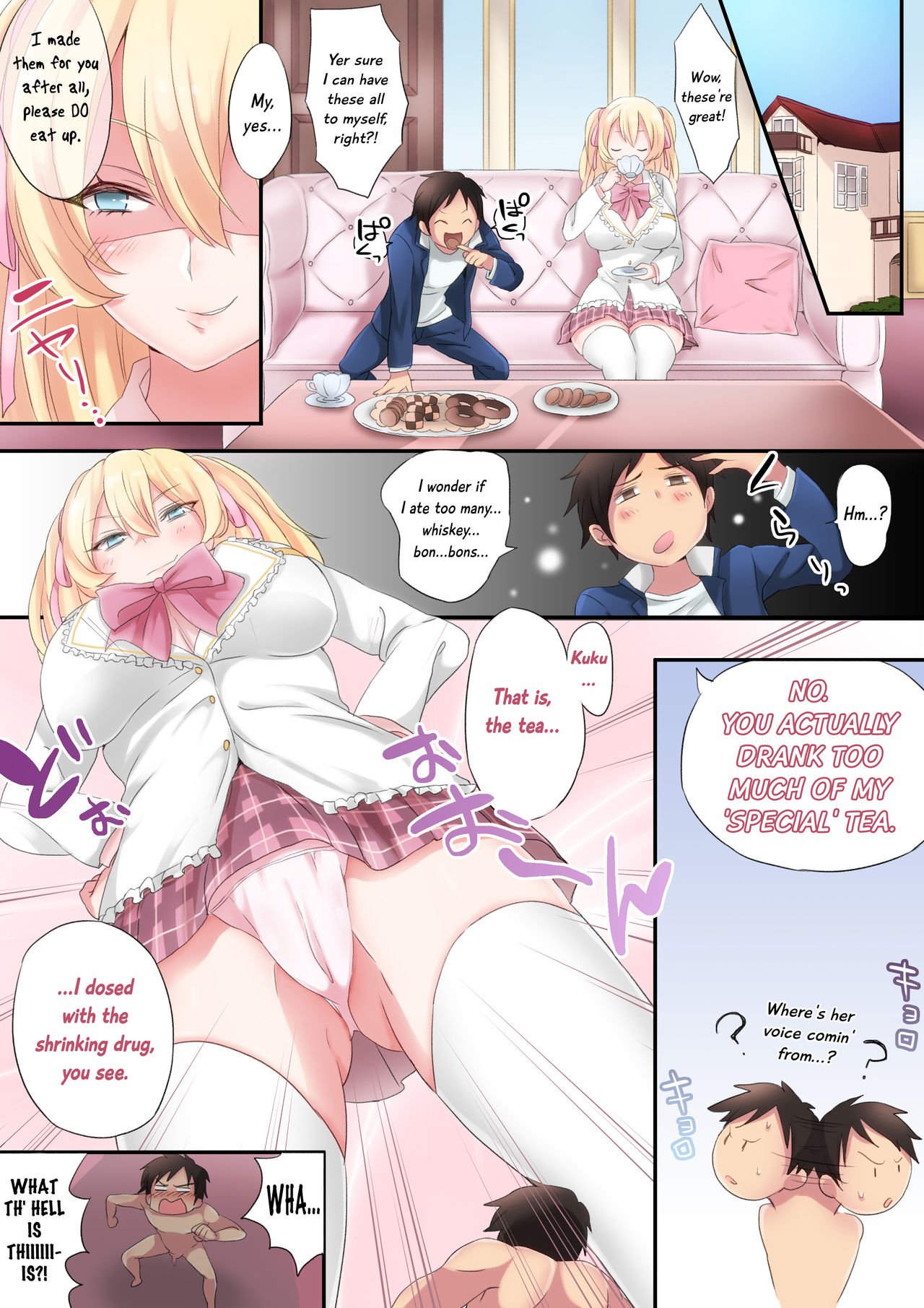 マイクロンマガジンVol。 17