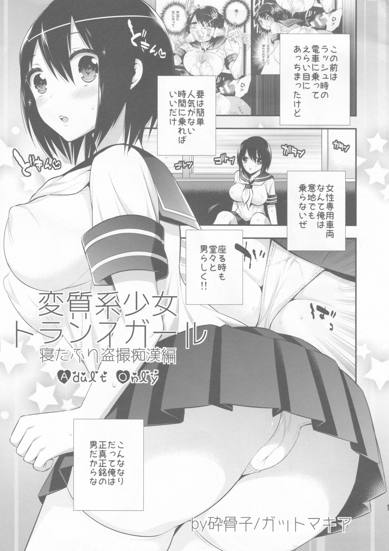変身系少女トランスガール-ネタフリとうさつちかん編